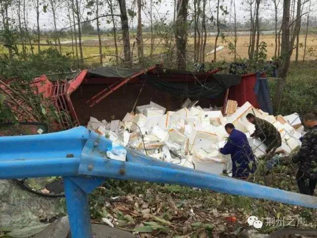 荆州突发！河豚鱼运输途中侧翻遭哄抢误食或身亡