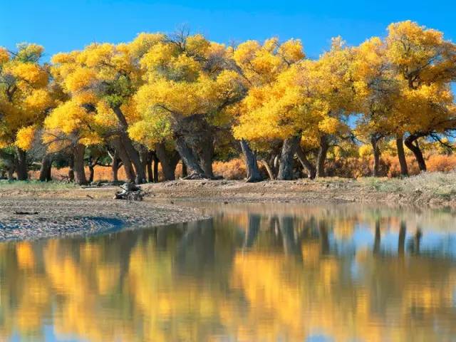 看头条后天就能从克拉玛依坐火车到喀什啦！