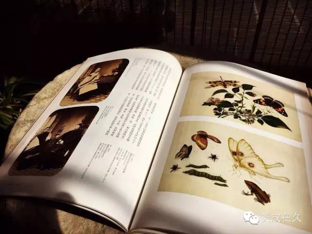 美成在久传媒是干嘛的,美成在久杂志社怎么样