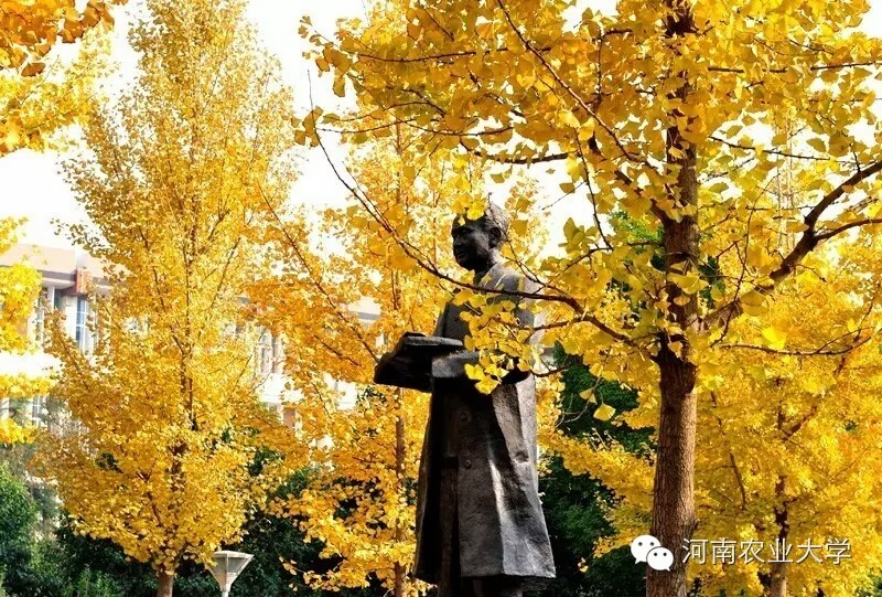 特别策划三分钟过后，农大小石榴马上开挂成老鸟！