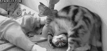 那些让人抓狂的意外,让人抓狂的几个事