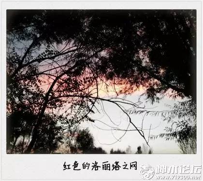 小神说民生丨700元新衣穿2小时起球·闹离婚妻子怒砸车·不合格米粉致娃腹泻