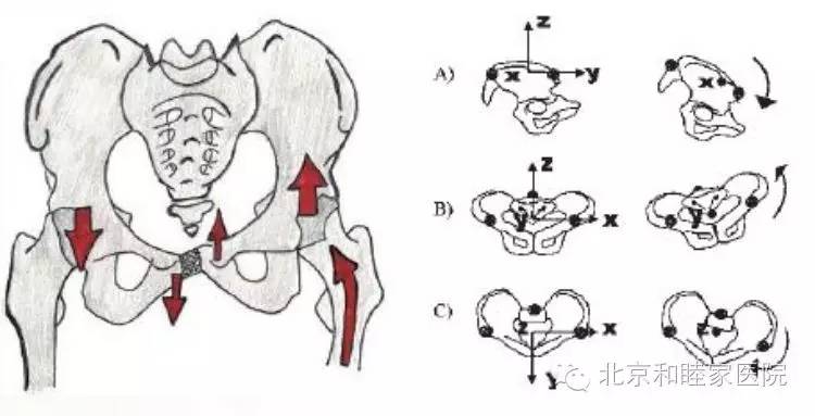 和睦家卫星诊所福利袭来：产后骨盆脊柱康复讲座报名ing