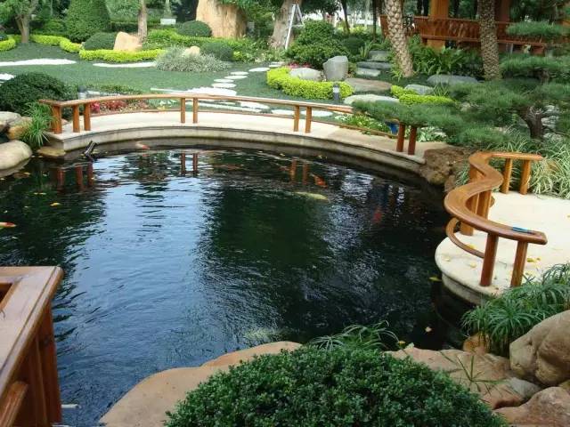 厉害了WORD哥,厉害了word哥视频