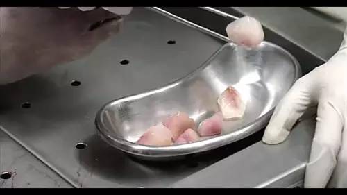 凶手样子,凶手的样子简介