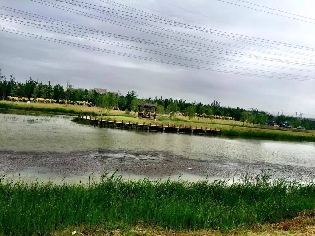 天津一共有多少个公园,天津有哪八个公园