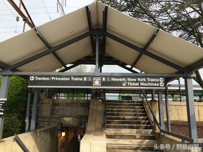 野鹅旅行,野鹅自驾无人区