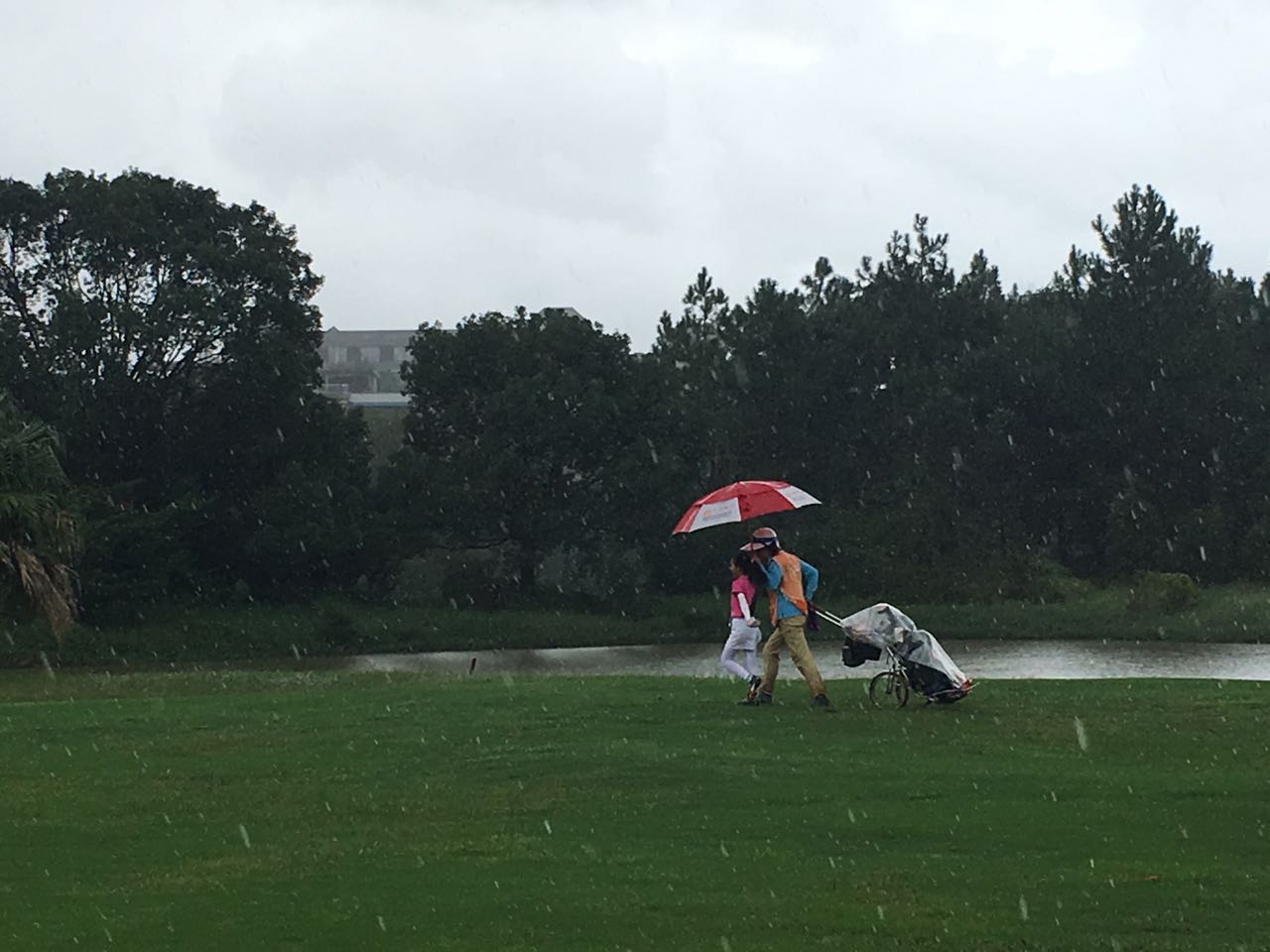 Grit，美国人正苦寻的教育方法，让孩子爱上高尔夫就能做到！