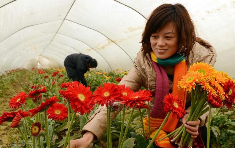 农村创业新点子十大暴利行业,2022创业的好项目农村