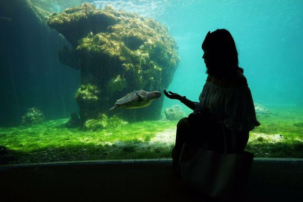 传说中的金银岛1993,金银岛宝藏传说是真的还是假的