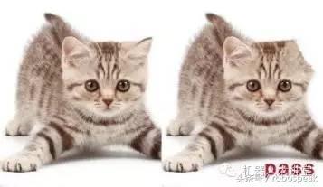 计算机视觉和机器视觉有区别么,计算机视觉和机器视觉区别