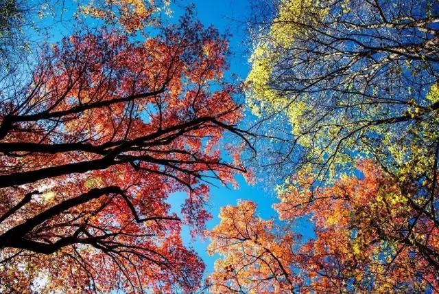 四川三个赏秋绝妙地,四川秋天最美的7个地方