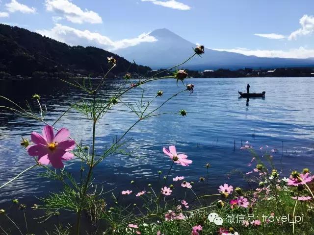 来东京值得做的事,除了逛商场还能去哪里玩啊