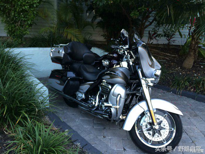 野鹅旅行,野鹅自驾无人区