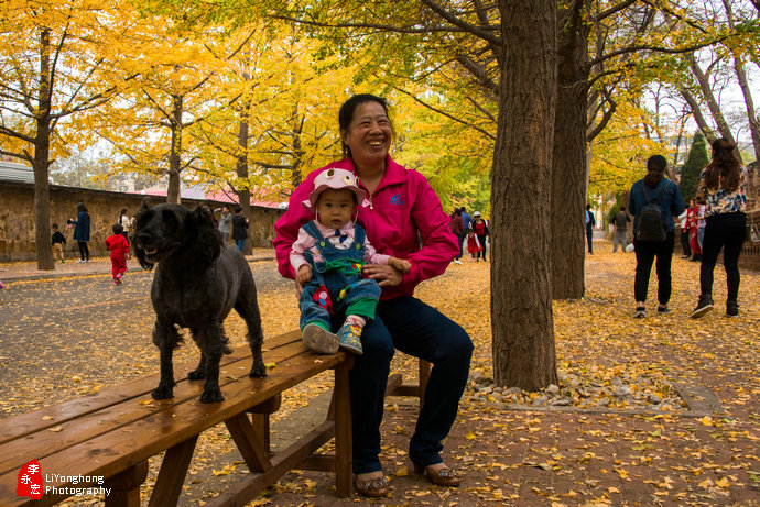 深秋的旅顺太阳沟,大连旅顺太阳沟秋景说说