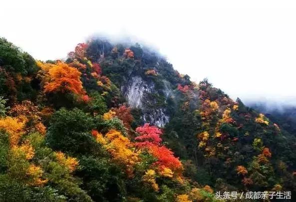 秋看落叶，夏玩水！成都边边观红叶圣地推介