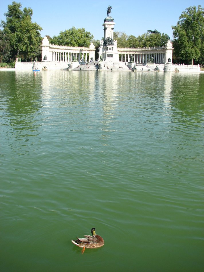 马德里不可思议镜面,马德里不可思议卡点