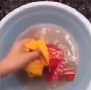 主人嫌弃泰迪狗全身跳蚤,主人嫌弃狗狗脏