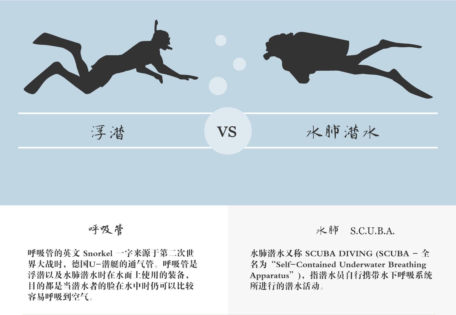 水肺潜水完能浮潜吗,水肺潜水和浮潜区别