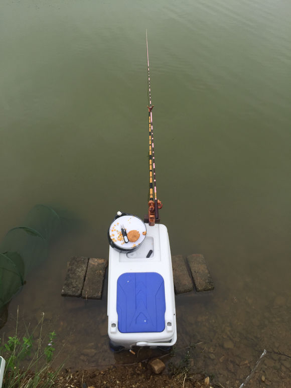 新手钓鱼，用2000的竿子，值不值？