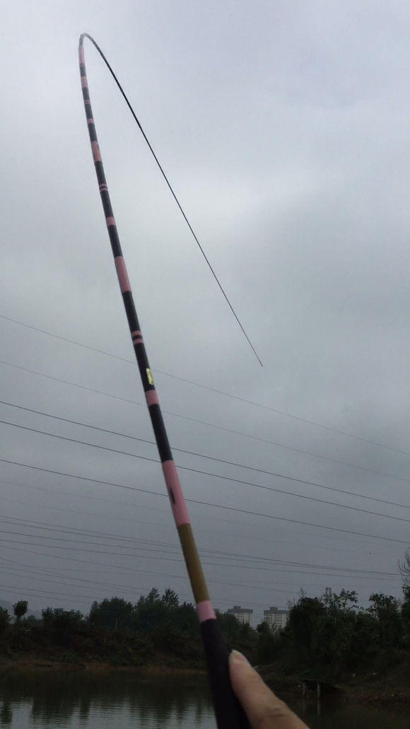 新手钓鱼，用2000的竿子，值不值？