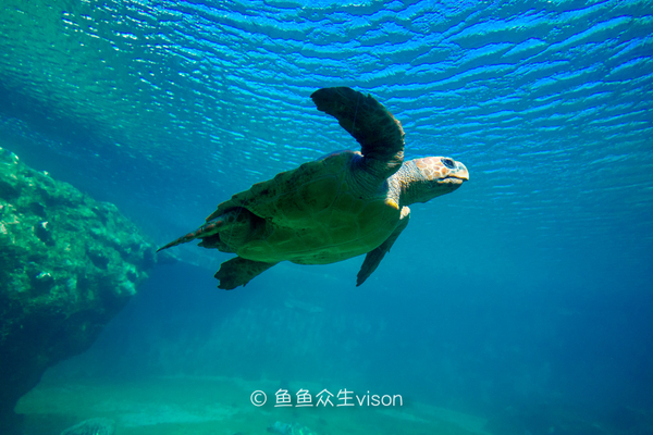 揭秘金银岛宝藏之谜,金银岛神秘之谜