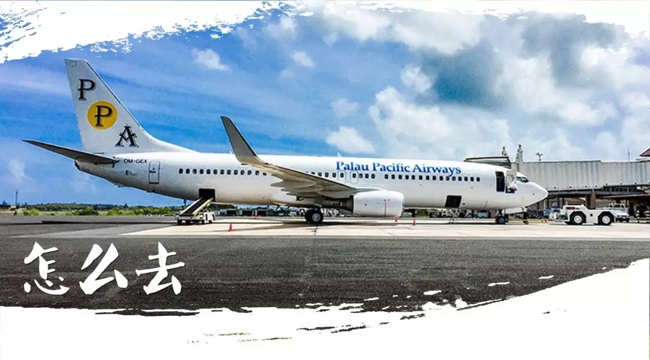去帕劳的最佳路线,如何去帕劳旅游攻略视频教程