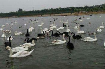 山东蓬莱海洋极地世界门票多少钱,山东郓城水浒城现在门票多少钱