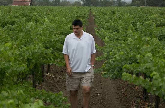 赵薇法国四个酒庄有多豪华,赵薇哪年在法国买的酒庄