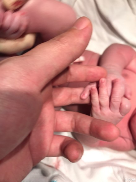 陈赫张子萱身份,陈赫张子萱测评