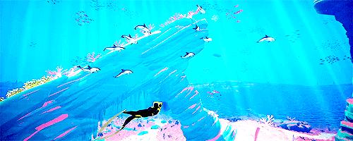 浮潜后可以水肺潜水吗,浮潜水肺潜水自由潜区别