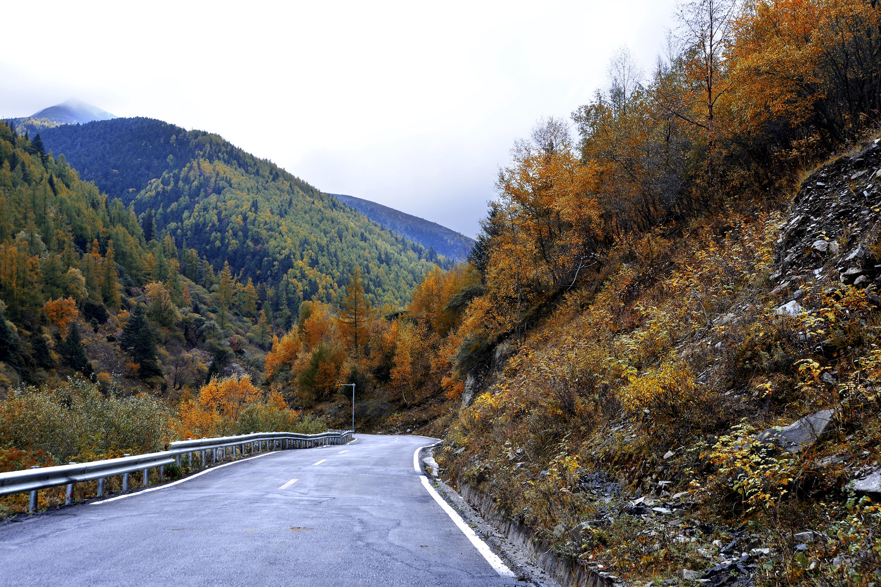 四川雅安宝兴夹金山天气预报,赞美宝兴夹金山红叶