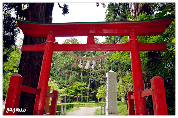 日本商务签证和工作签证区别,日本商务签证办理流程及费用