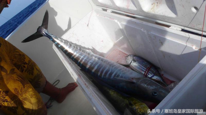 塞班岛旅游浮潜,塞班岛游玩项目地图