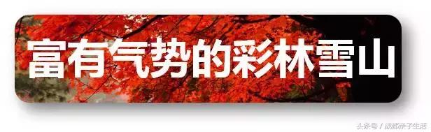秋看落叶，夏玩水！成都边边观红叶圣地推介