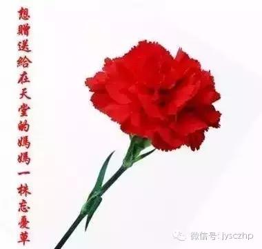 写给母亲的千古情,写给母亲的百封家书