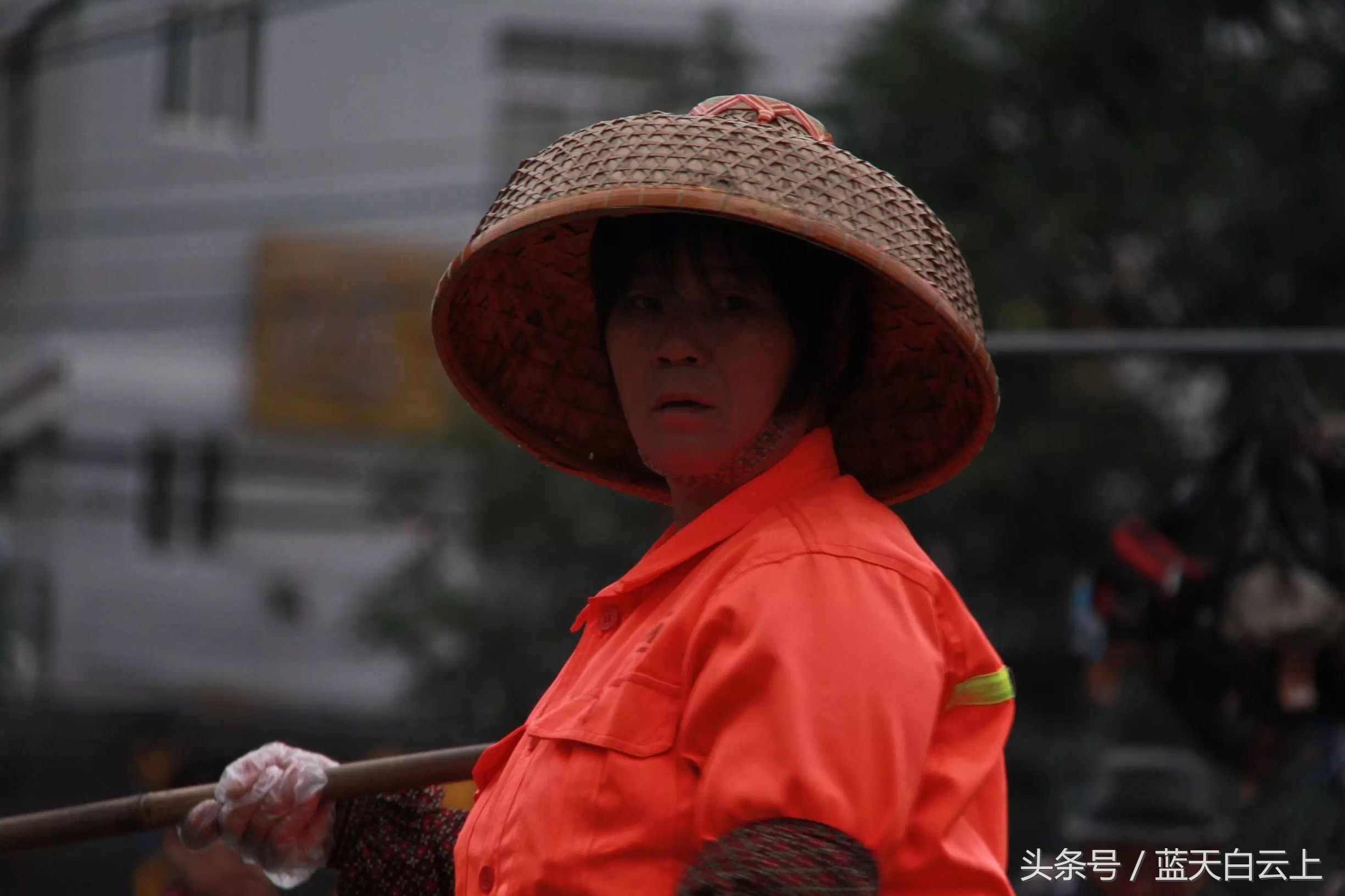 冬日里的黄玫瑰环卫工人,城市黄玫瑰环卫工人