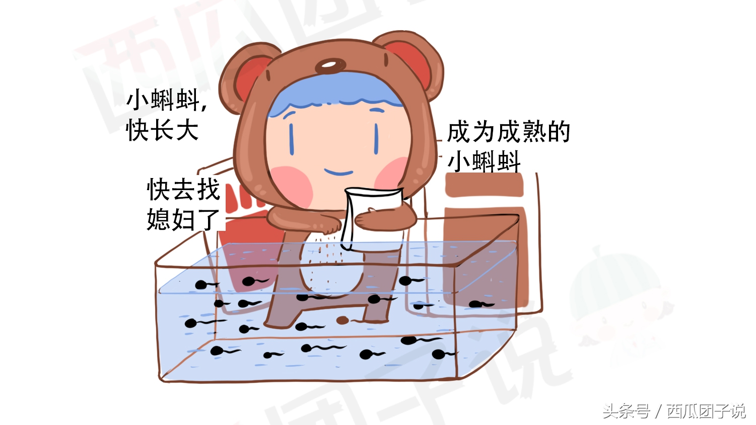 性激素6项对女性身体有什么影响,女生的性激素6项要什么才标准