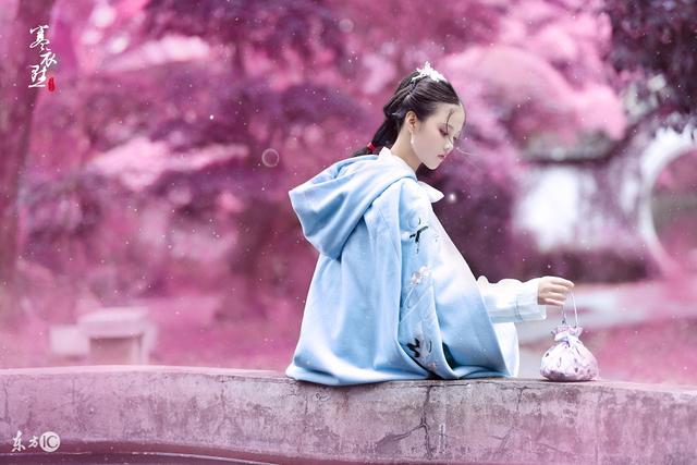 小说：原来乌龟跑得比兔子都要快这故事是真的，你敢信？