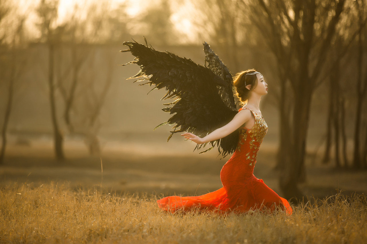 小说李知行,李知行的小说叫什么