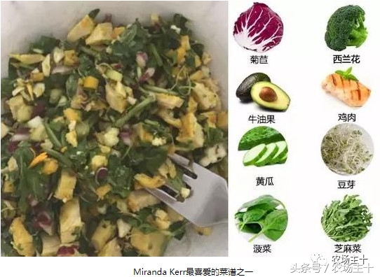 牛油果是怎么炒作起来的,牛油果是怎样炒作起来的