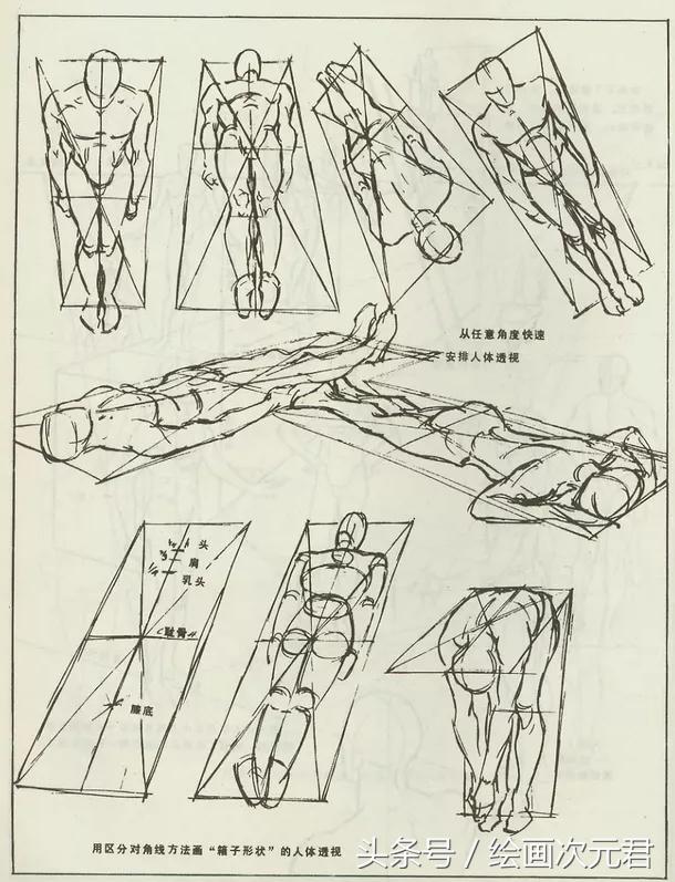 画好的人体结构画法,人体结构与动态基础教程