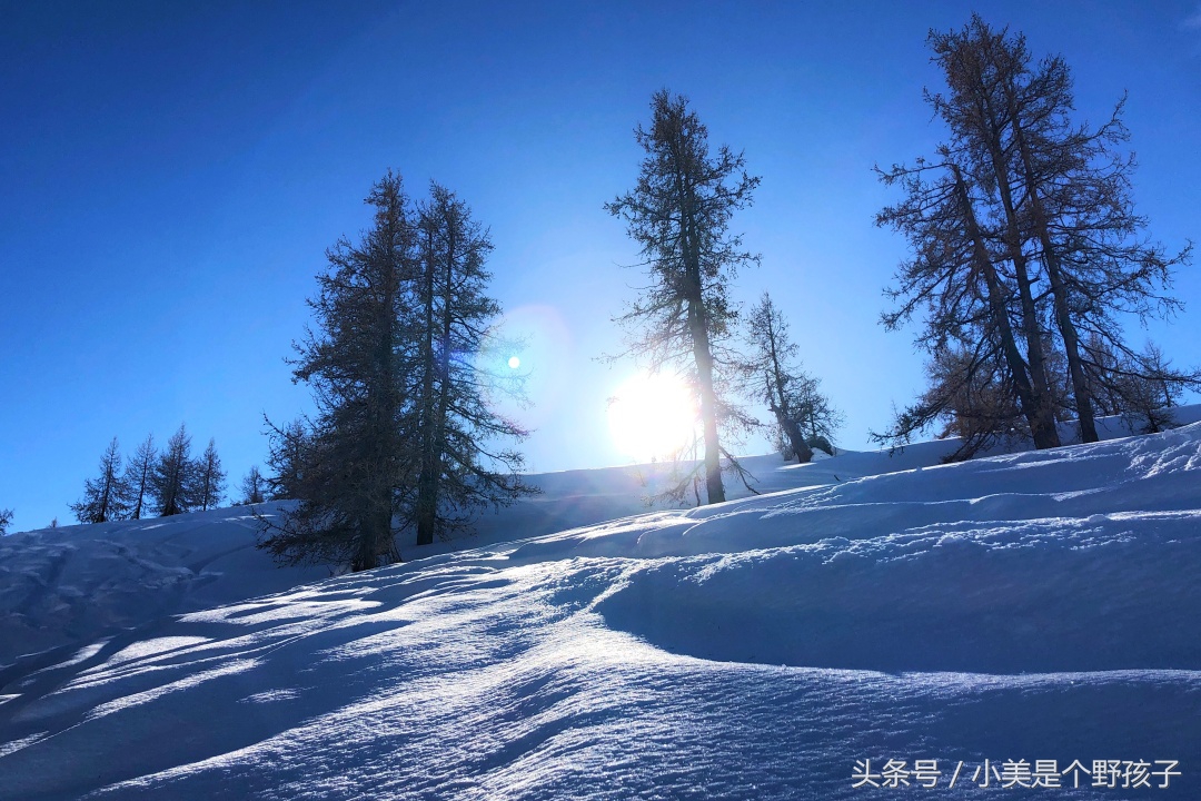 新疆新和县滑雪场,阿勒泰滑雪场野雪