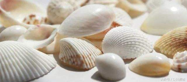 火山泥真的能清洁毛孔吗,用火山泥洗脸再用洗面奶