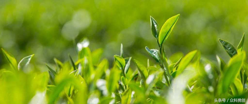火山泥真的能清洁毛孔吗,用火山泥洗脸再用洗面奶