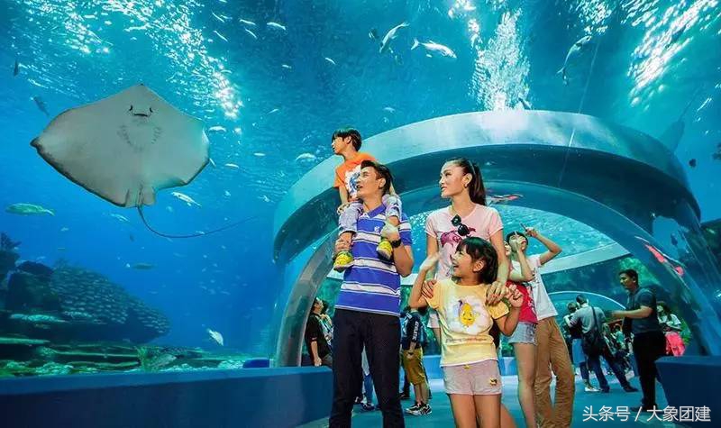 珠海长隆海洋王国游玩攻略时间表,珠海长隆海洋王国游玩攻略文字版