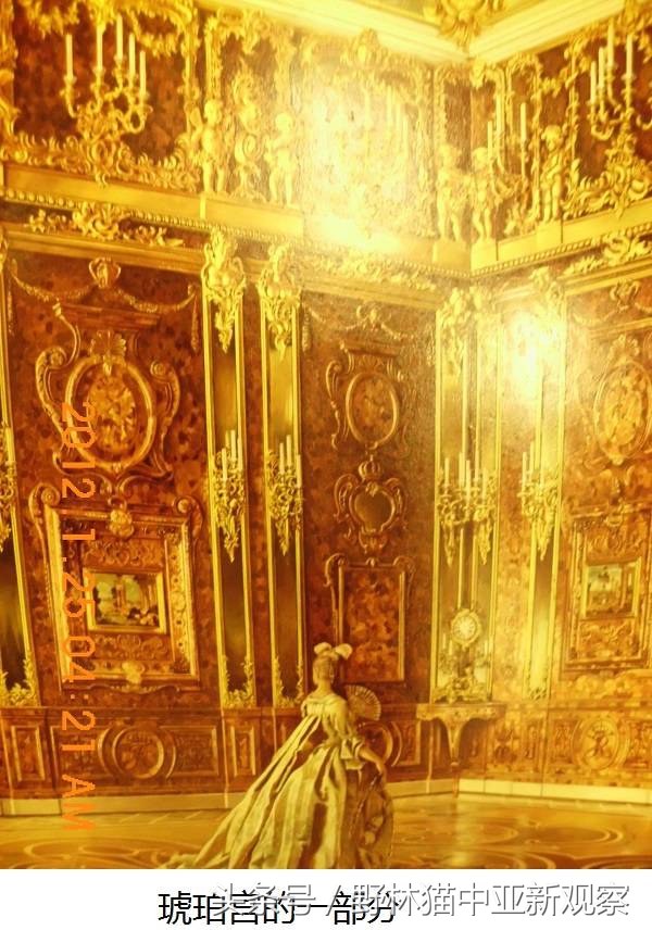 野林猫之-俄罗斯琥珀之都探秘