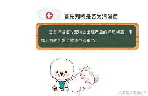 宠物泪痕如何消除,宠物泪痕如何消除省钱