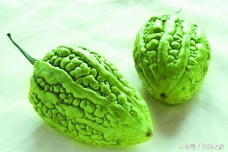 餐桌上常见的本土作物是什么,10种常见的粮食作物