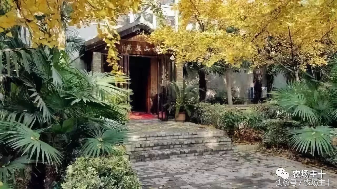 成功的休闲农庄需要具备哪些条件,做休闲农庄必须考虑的几个问题